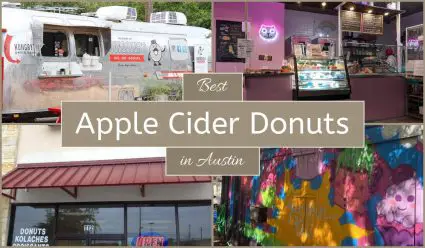 Best Apple Cider Donuts In Austin